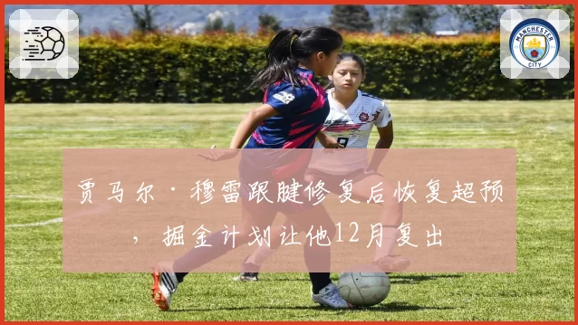 贾马尔·穆雷跟腱修复后恢复超预期，掘金计划让他12月复出