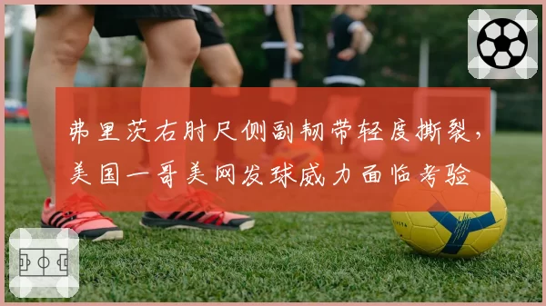 弗里茨右肘尺侧副韧带轻度撕裂，美国一哥美网发球威力面临考验