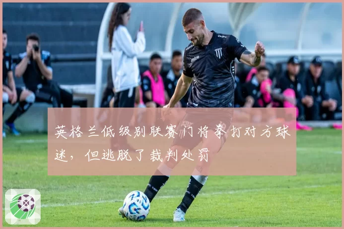 英格兰低级别联赛门将拳打对方球迷,但逃脱了裁判处罚