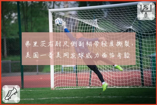 弗里茨右肘尺侧副韧带轻度撕裂，美国一哥美网发球威力面临考验